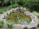 Small Pond with Waterfall